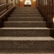 Декоративные покрытия для деревянных лестниц